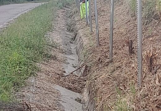A Xunta iniciará esta semana novos traballos de limpeza nas marxees da estrada AC-549 ao paso polo concello de Noia